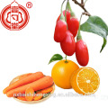 Lycii fructus, Gouqi zi / Ningxia Goji wolfberry Premium Grade Getrocknete Goji Beeren / Boxthorn / Getrocknete Gesundheit Chinese Wolfberry Ernährung